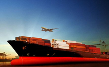 Which Freight Option？